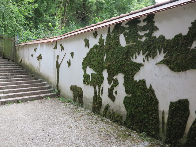 Moss grafitti.jpg