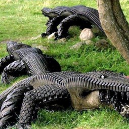 Smart ways to use old tires 9.jpg