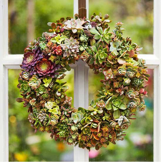 Succulent wreath.jpg