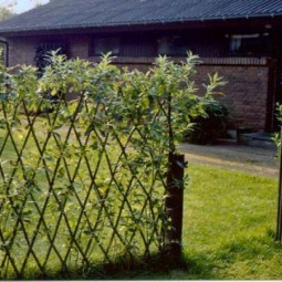 Vrbovy plot na zahrade 2.jpg