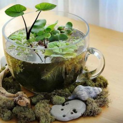 Ad adorable miniature terrarium ideas for you to try 02.jpg
