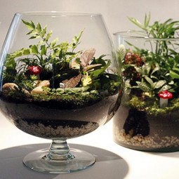 Ad adorable miniature terrarium ideas for you to try 03.jpg
