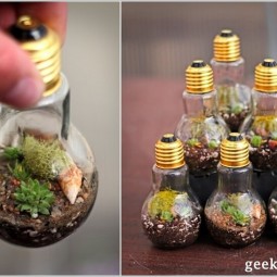 Ad adorable miniature terrarium ideas for you to try 13.jpg
