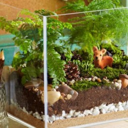 Ad adorable miniature terrarium ideas for you to try 14.jpg