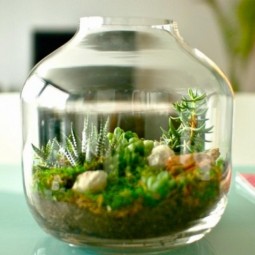 Ad adorable miniature terrarium ideas for you to try 15.jpg