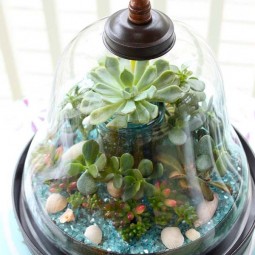Ad adorable miniature terrarium ideas for you to try 20.jpg