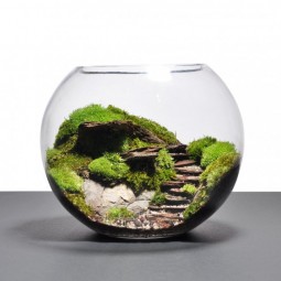 Ad adorable miniature terrarium ideas for you to try 21.jpg