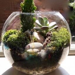 Ad adorable miniature terrarium ideas for you to try 24.jpg