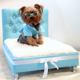 Awesome dog beds for indoors and outdoors 33 554x453.jpg