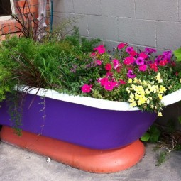 Bath tub planter.jpg