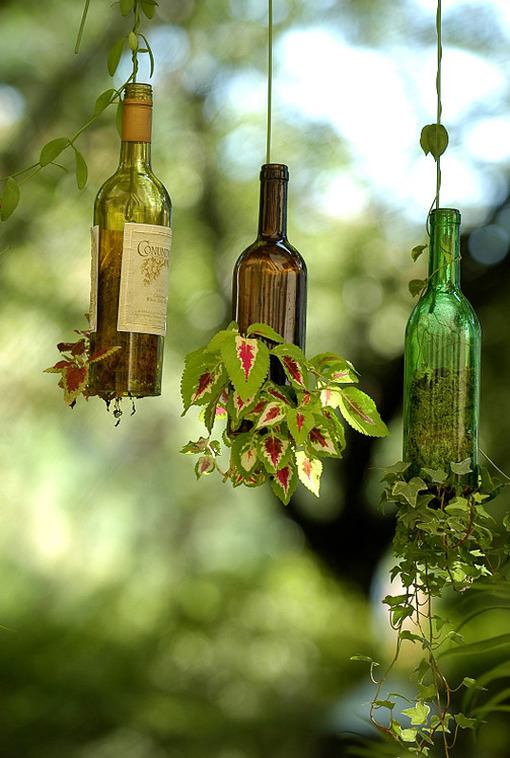 Planter from wine bottle.jpg