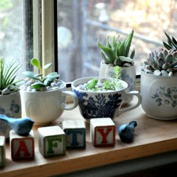 Tea cup planters.jpg