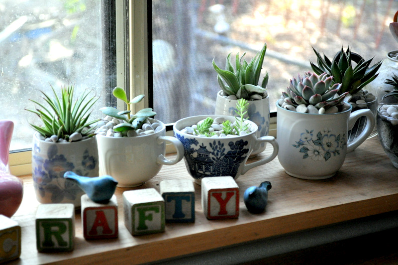 Tea cup planters.jpg