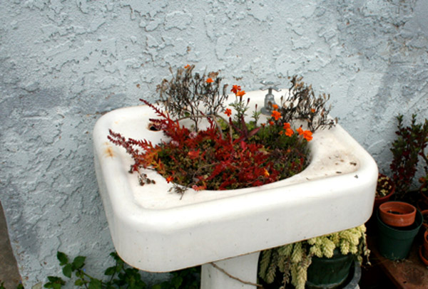Use old washbasins and sinks as a planter.jpg