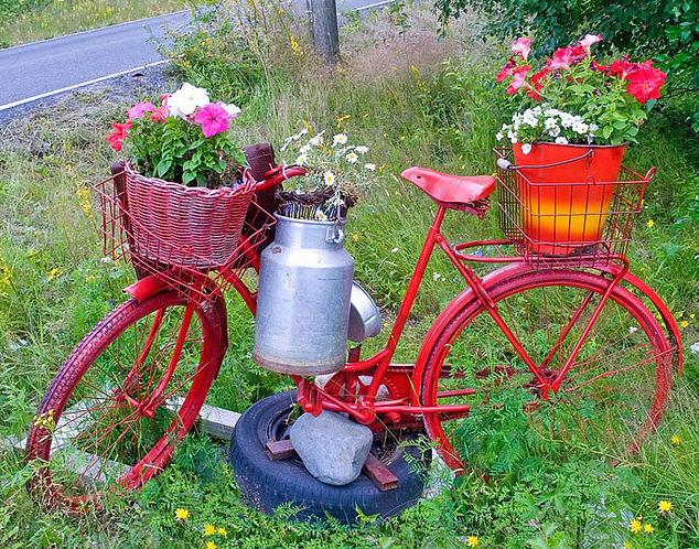 Vintage bicycle planter.jpg