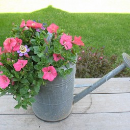 Watering can planter.jpg