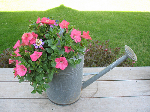 Watering can planter.jpg