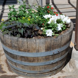 Wine barrel planter.jpg