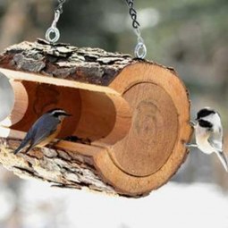 Bird feeder.jpg