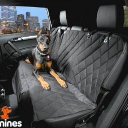 Dog seat cover 1.jpg
