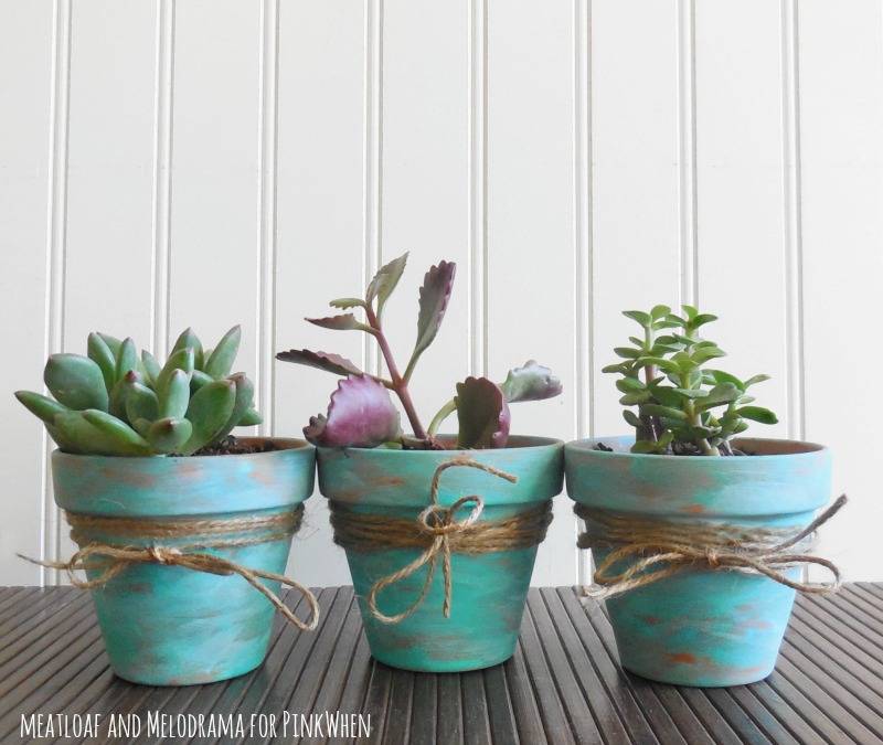 Rustic succulent pots.jpg