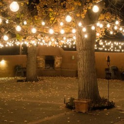 String lighting ideas for fall yard and garden 19.jpg