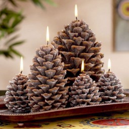 12 pine cone ideas.jpg