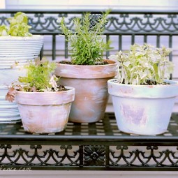 Age your garden pots.jpg
