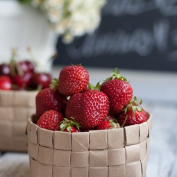 Fruitbasket2.jpg