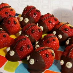 Kindergeburtstag erdbeeren mit schokolade marienkaefer.jpg