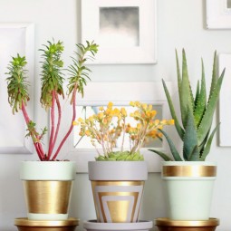 Pastel painted pots lined with golden shapes.jpg