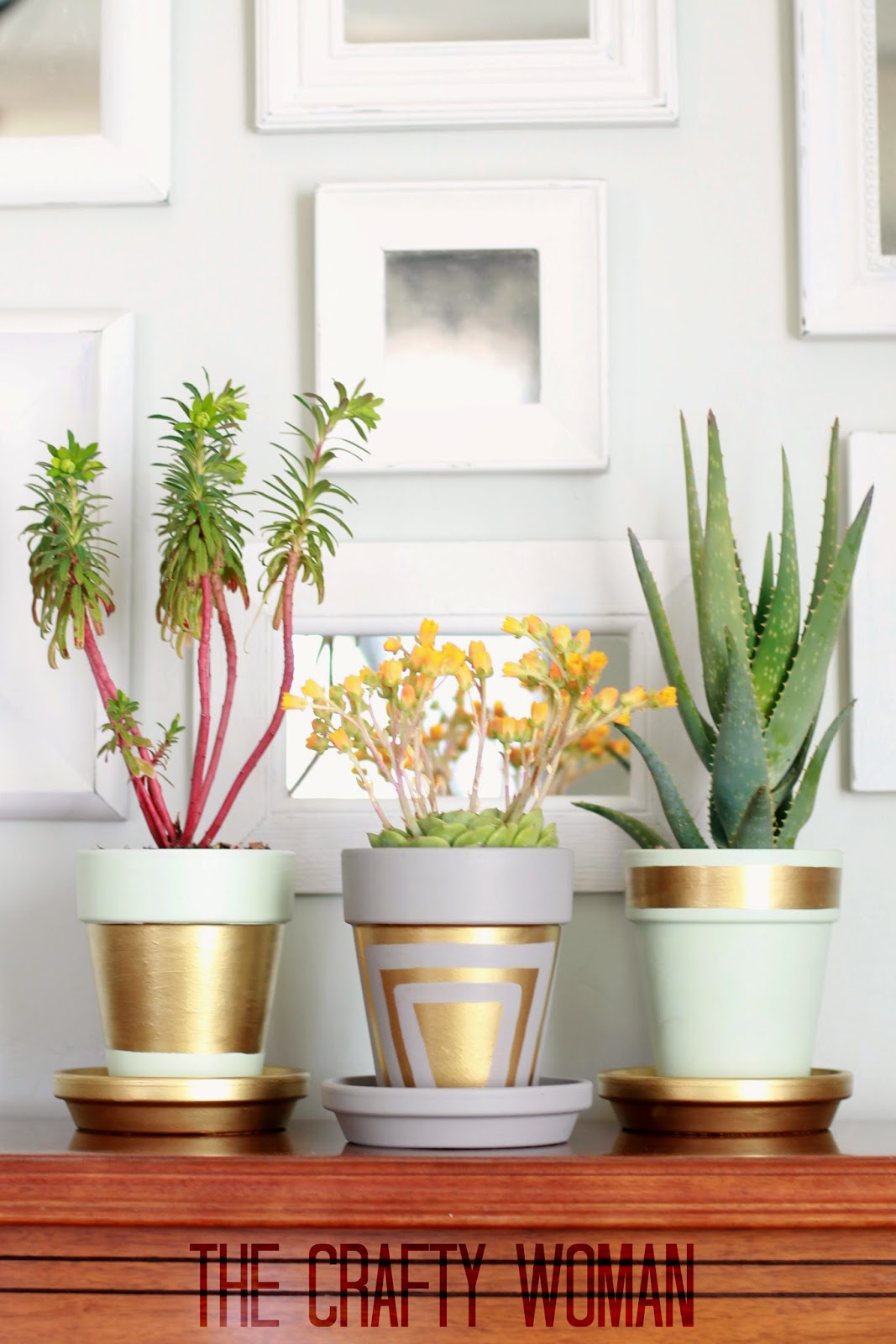 Pastel painted pots lined with golden shapes.jpg
