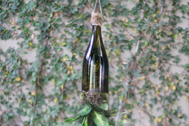Wine bottle crafts 1.jpg