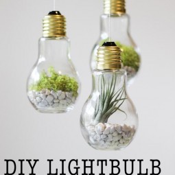 Diy lightbulb terrariums.jpg