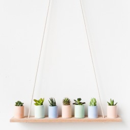 Pastel mini planters on simple diy shelf.jpg