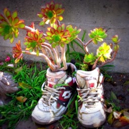 Plantar old shoes again ideas for home garden planters 2 556.jpeg