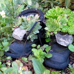 Plantar old shoes again ideas for home garden planters 21 556.jpeg