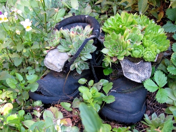 Plantar old shoes again ideas for home garden planters 21 556.jpeg