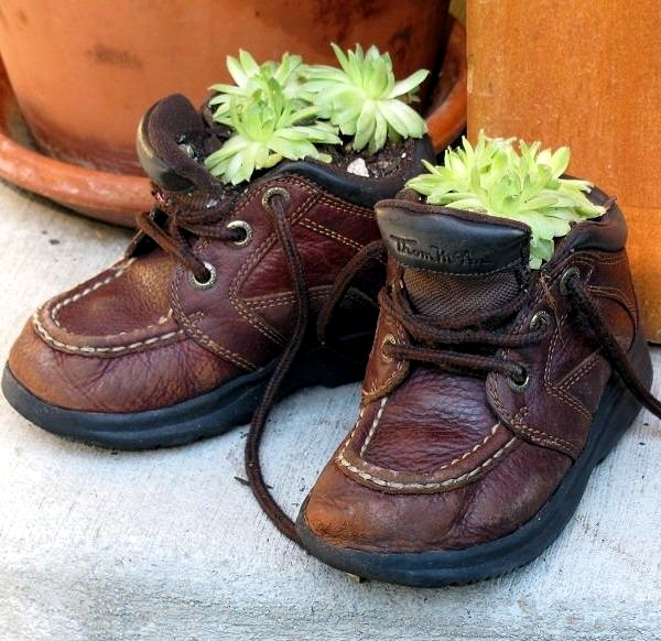 Plantar old shoes again ideas for home garden planters 23 556.jpeg