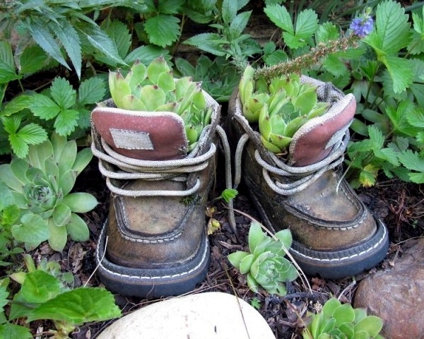 Plantar old shoes again ideas for home garden planters 26 556.jpeg
