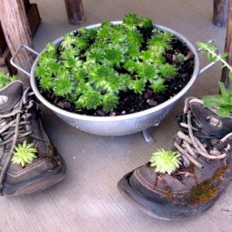 Plantar old shoes again ideas for home garden planters 8 556.jpeg