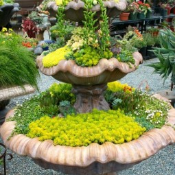 Succulent fountain e1402429679578.jpg
