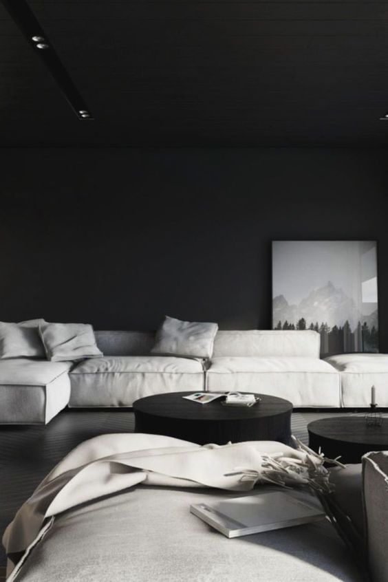 31 moody minimalist living room in black and white.jpg