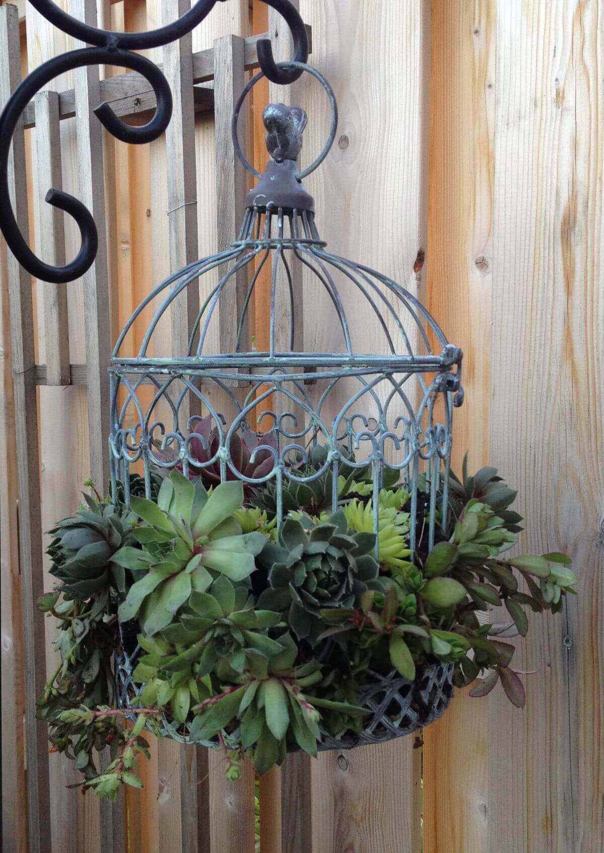 03 outdoor hanging planter ideas homebnc.jpg