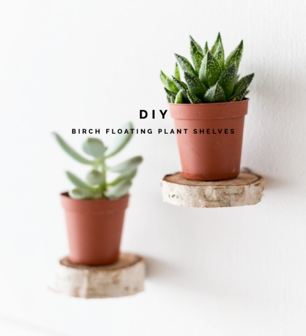 Make floating plant shelves from a birch wood roun 280489883026808563.jpg