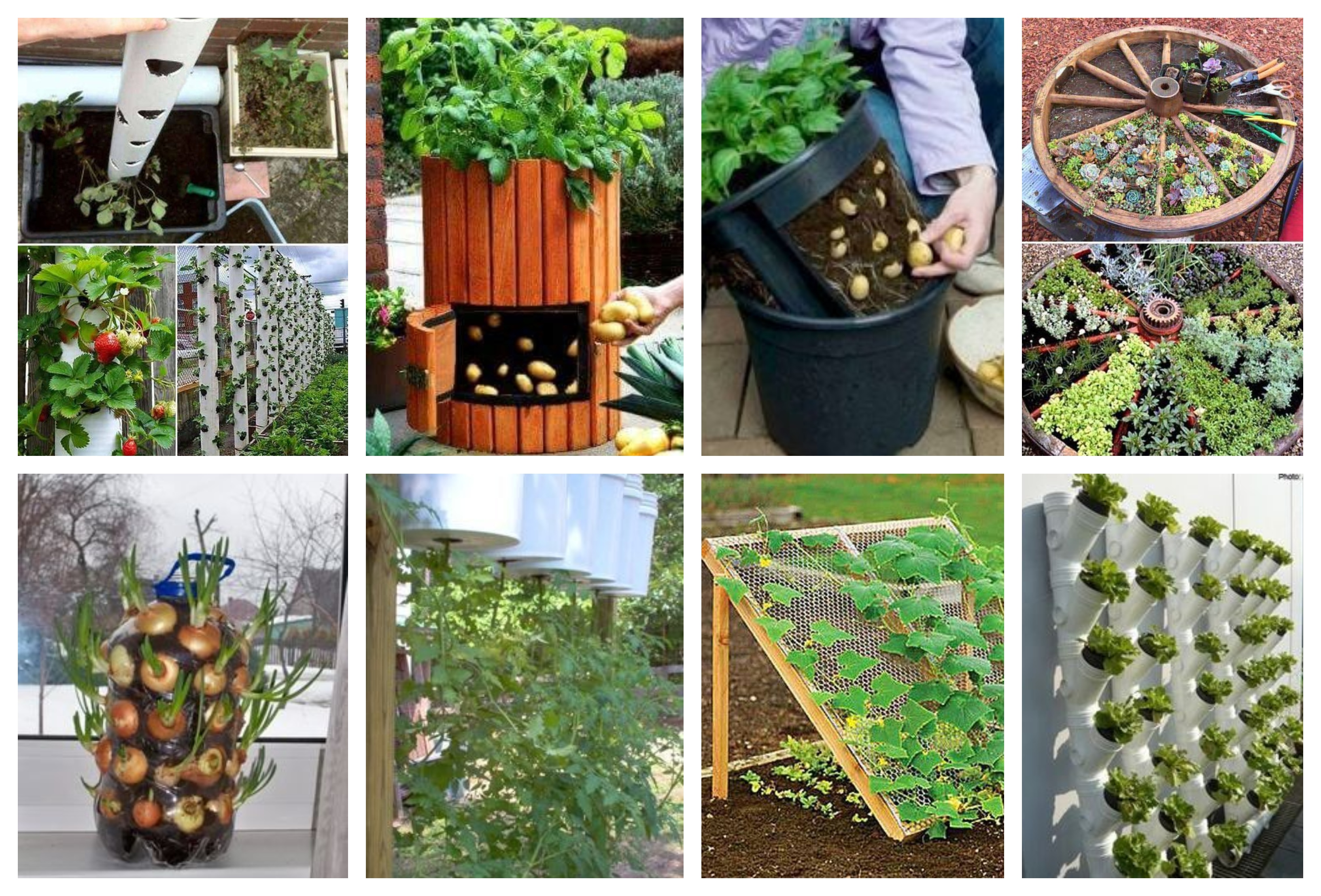 10 praktische Gartenideen: Gemüse pflanzen mal anders ...
