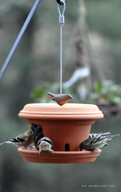 Flowerpot bird feeder.jpg