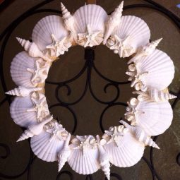 21 sea shell projects to consider on your next walk by the beach 15.jpg