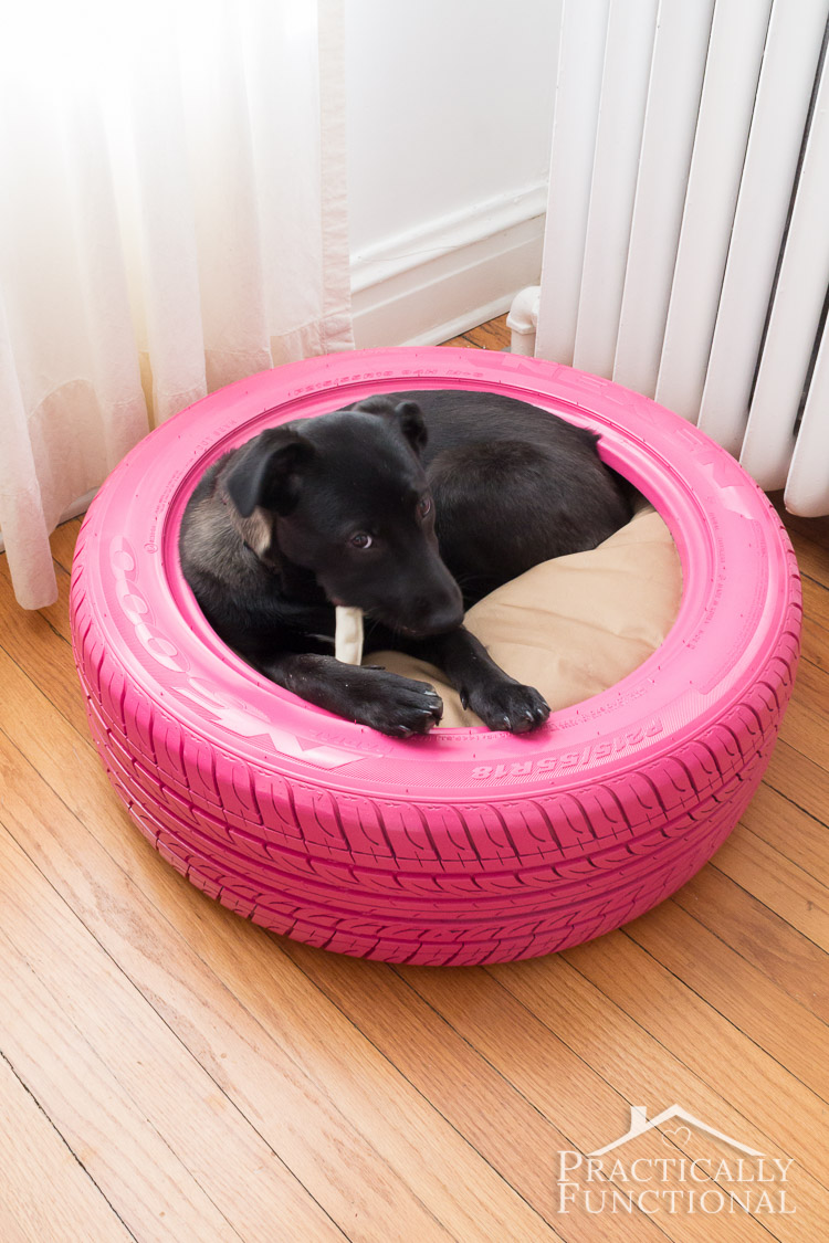 Dog bed from a recycled tire.jpg
