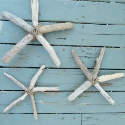 Driftwood starfish to decorate.jpg